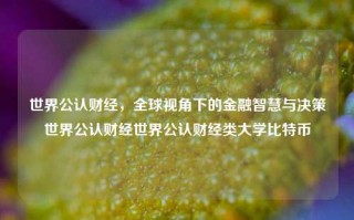 世界公认财经，全球视角下的金融智慧与决策世界公认财经世界公认财经类大学比特币