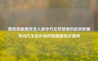 商务部新闻发言人就中方在世贸组织起诉欧盟电动汽车反补贴终裁措施答记者问