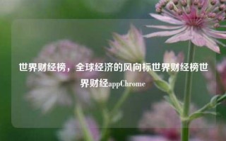 世界财经榜，全球经济的风向标世界财经榜世界财经appChrome