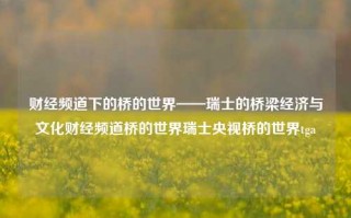 财经频道下的桥的世界——瑞士的桥梁经济与文化财经频道桥的世界瑞士央视桥的世界tga