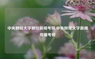 中央财经大学财经新闻考研,中央财经大学新闻传播考研