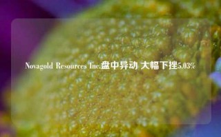 Novagold Resources Inc.盘中异动 大幅下挫5.03%