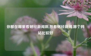 你都在哪里看财经新闻啊,想看财经新闻,哪个网站比较好