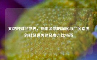 秦虎的财经世界，探索金融的深度与广度秦虎的财经世界财经秦方比特币