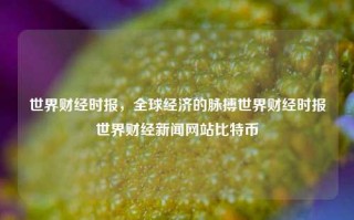 世界财经时报，全球经济的脉搏世界财经时报世界财经新闻网站比特币