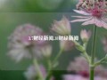 3.7财经新闻,38财经新闻