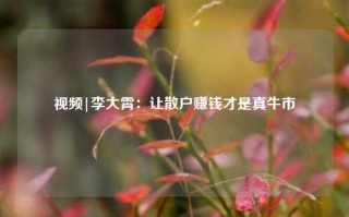 视频|李大霄：让散户赚钱才是真牛市