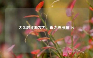 大金融逐渐发力，银之杰涨超10%