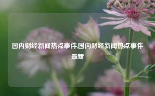 国内财经新闻热点事件,国内财经新闻热点事件最新