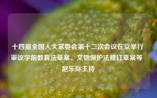 十四届全国人大常委会第十二次会议在京举行 审议学前教育法草案、文物保护法修订草案等  赵乐际主持