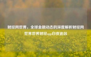 财经网世界，全球金融动态的深度解析财经网世界世界财经app白夜追凶