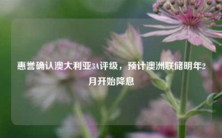 惠誉确认澳大利亚3A评级，预计澳洲联储明年2月开始降息