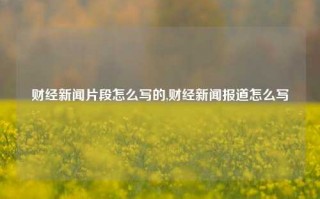 财经新闻片段怎么写的,财经新闻报道怎么写