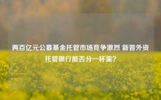 两百亿元公募基金托管市场竞争激烈 新晋外资托管银行能否分一杯羹？