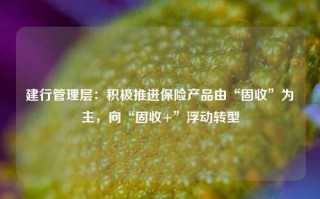 建行管理层：积极推进保险产品由“固收”为主，向“固收+”浮动转型