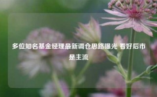 多位知名基金经理最新调仓思路曝光 看好后市是主流