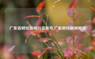 广东省财经新闻抖音账号,广东财经新闻频道