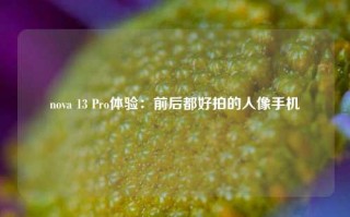 nova 13 Pro体验：前后都好拍的人像手机