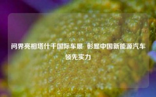 问界亮相塔什干国际车展  彰显中国新能源汽车领先实力