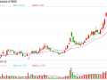 ST智知虚增收入超10亿遭重罚 诚信是企业立足基石