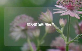 嫩草财经新闻头条