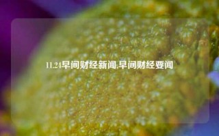 11.24早间财经新闻,早间财经要闻