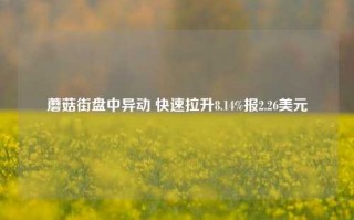 蘑菇街盘中异动 快速拉升8.14%报2.26美元