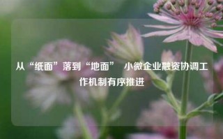 从“纸面”落到“地面”  小微企业融资协调工作机制有序推进