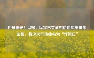 代号曝光！以媒：以军已完成对伊朗军事设施空袭，将这次行动命名为“忏悔日”