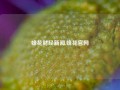 蜂花财经新闻,蜂花官网