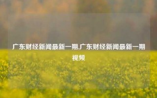 广东财经新闻最新一期,广东财经新闻最新一期视频