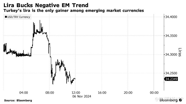 特朗普胜选引爆汇市 土耳其里拉成避风港-第1张图片-世界财经