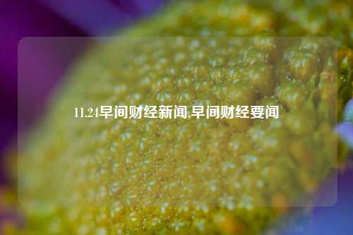 11.24早间财经新闻,早间财经要闻-第1张图片-世界财经