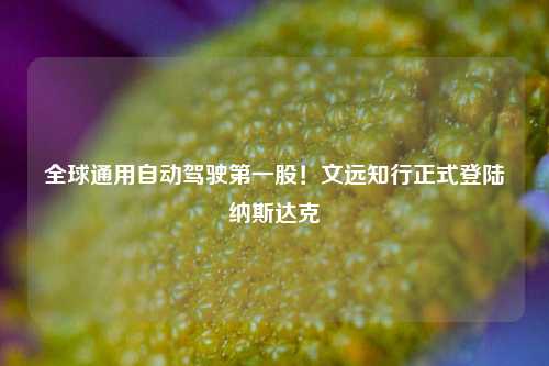 全球通用自动驾驶第一股！文远知行正式登陆纳斯达克-第1张图片-世界财经