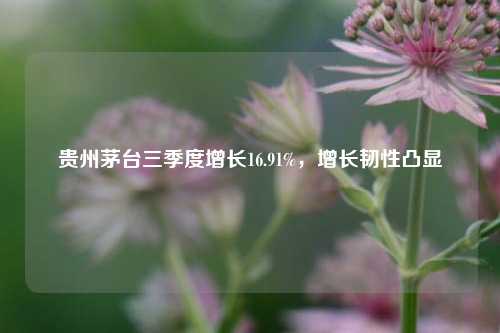 贵州茅台三季度增长16.91%，增长韧性凸显-第1张图片-世界财经