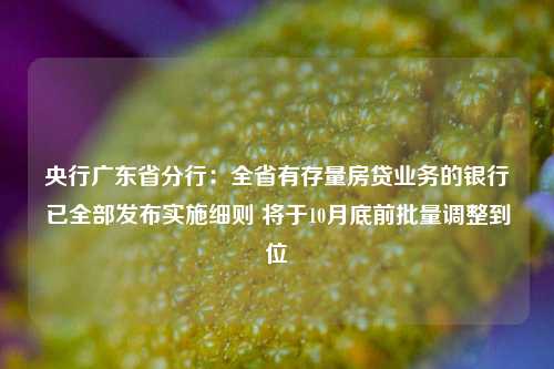 央行广东省分行：全省有存量房贷业务的银行已全部发布实施细则 将于10月底前批量调整到位-第1张图片-世界财经