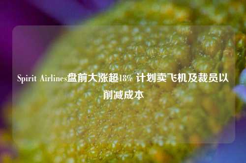 Spirit Airlines盘前大涨超18% 计划卖飞机及裁员以削减成本-第1张图片-世界财经