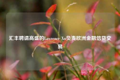 汇丰聘请高盛的Lawrence Xu负责欧洲金融信贷交易-第1张图片-世界财经