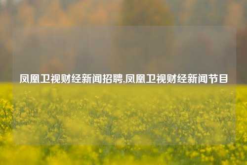 凤凰卫视财经新闻招聘,凤凰卫视财经新闻节目-第1张图片-世界财经