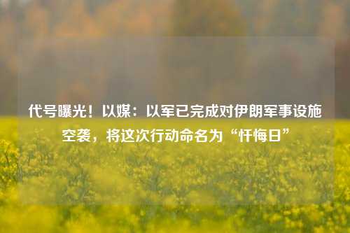 代号曝光！以媒：以军已完成对伊朗军事设施空袭，将这次行动命名为“忏悔日”-第1张图片-世界财经