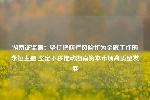 湖南证监局：坚持把防控风险作为金融工作的永恒主题 坚定不移推动湖南资本市场高质量发展-第1张图片-世界财经