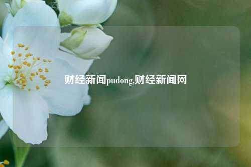 财经新闻pudong,财经新闻网-第1张图片-世界财经