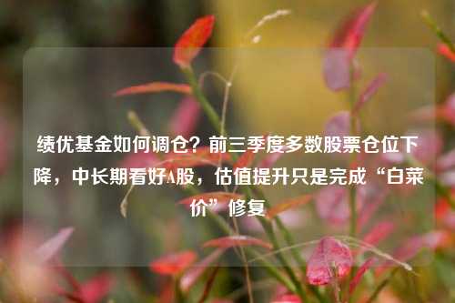 绩优基金如何调仓？前三季度多数股票仓位下降，中长期看好A股，估值提升只是完成“白菜价”修复-第1张图片-世界财经