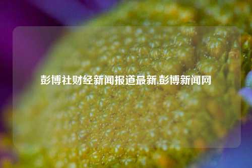 彭博社财经新闻报道最新,彭博新闻网-第1张图片-世界财经