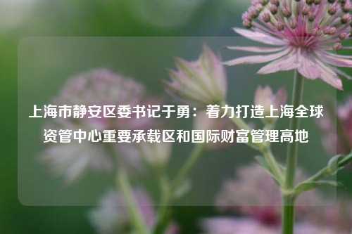 上海市静安区委书记于勇：着力打造上海全球资管中心重要承载区和国际财富管理高地-第1张图片-世界财经