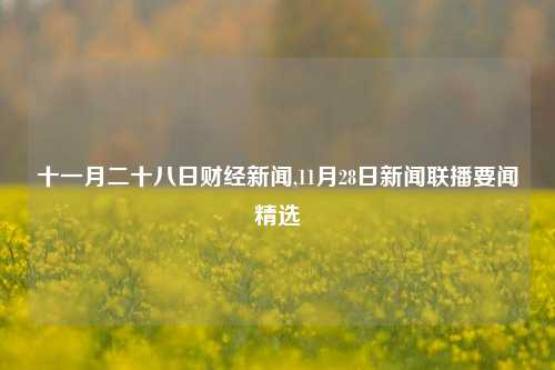 十一月二十八日财经新闻,11月28日新闻联播要闻精选-第1张图片-世界财经