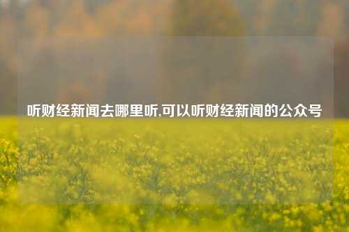 听财经新闻去哪里听,可以听财经新闻的公众号-第1张图片-世界财经