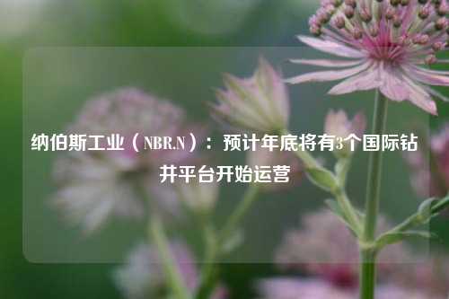 纳伯斯工业（NBR.N）：预计年底将有3个国际钻井平台开始运营-第1张图片-世界财经