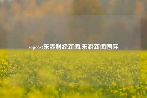 sopcost东森财经新闻,东森新闻国际-第1张图片-世界财经