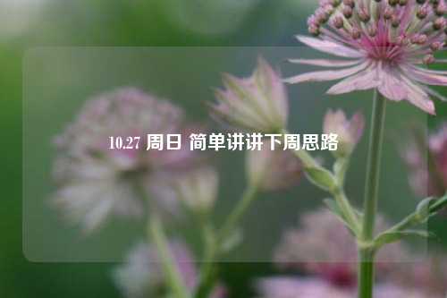 10.27 周日 简单讲讲下周思路-第1张图片-世界财经